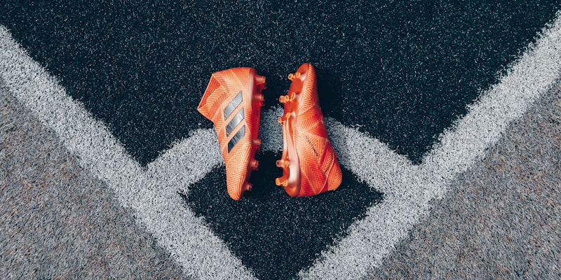 各国家队备战2026世界杯训练情况